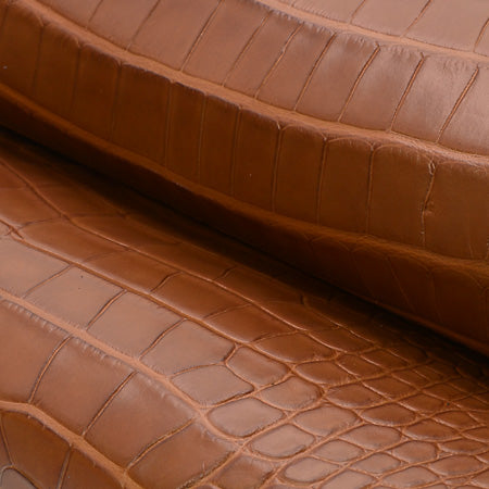 Alligator Leather Size 25-28 cm (PREORDER 2-3 WEEKS)